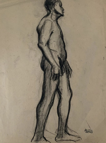 Superbe masculin drawing - superbe,