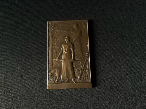 Médaille bronze jeanne - médaille,