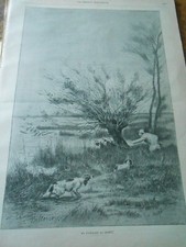 Gravure 1890 - Chasse Chiens