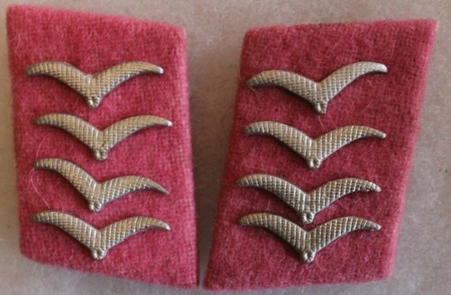 Patte col haupt gefreiter - patte, de