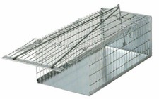 Piège A Galleria Pour Souris