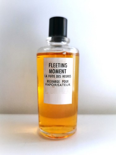 Balenciaga fleeting moment - balenciaga,