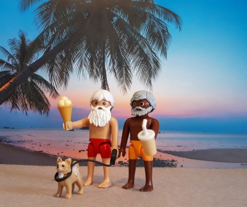 Playmobil adulte couple pride - playmobil,