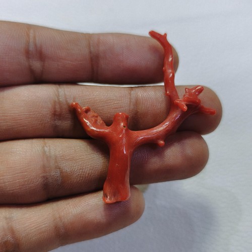 Ancienne branche corail - ancienne,