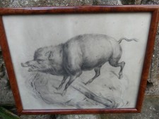 Dessin crayon XIX ème