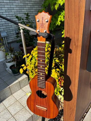 Koaloha concert model 2015 oct - model,