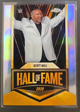 Hall Of Fame Scott Hall Razor