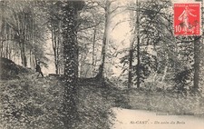 22 ST CAST UN COIN DU BOIS