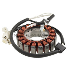 Aimant Stator 18 Poli Yamaha