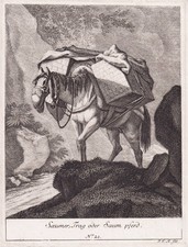 Gravure De Cheval En Cuivre Augsburg J. E. Ridinger 1760