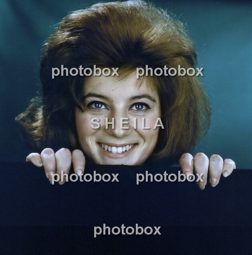 Sheila exclusive photo - ,