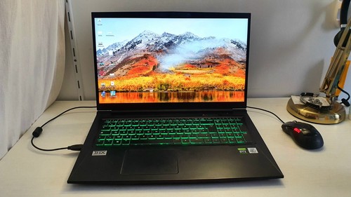 Portable gamer 17 3 - portable, /