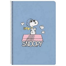 Carnet de notes à spirales