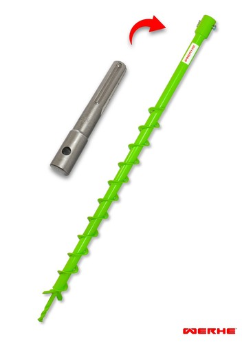 Foret terre werhe - foret, pour
