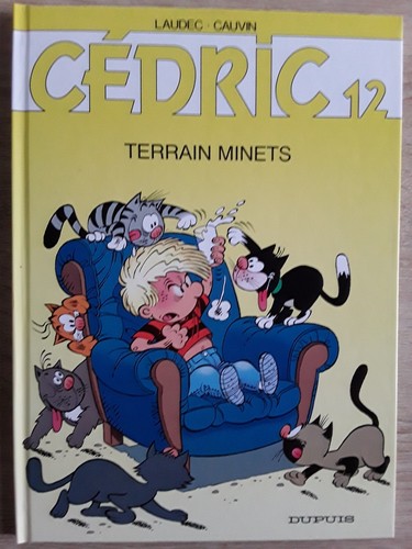 BD-CEDRIC-12-TERRAIN
