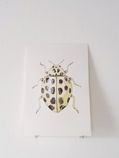 Coccinelle jaune AQUARELLE