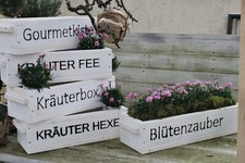 Bacs à Fleurs Avec Pression