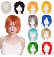 Perruque Cosplay pour Homme et Femme 30cm costume cheveux déguisement