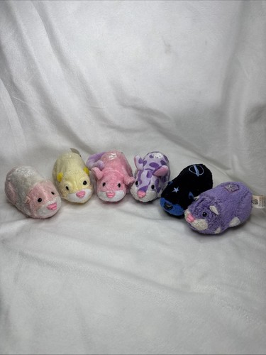 Lot zhu - zhu, pets