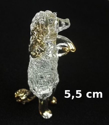 Magnifique caniche verre - magnifique, en