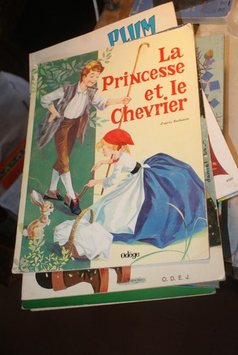 Princesse chevrier - et,