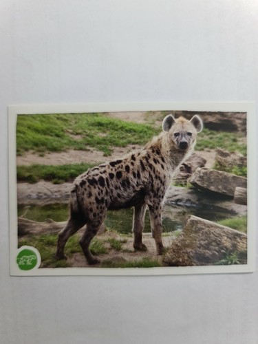 Image sticker autocollant