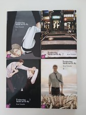 Lot Manga Boys love Yaoi BL Twittering Birds Never Fly Français Édition Taifu