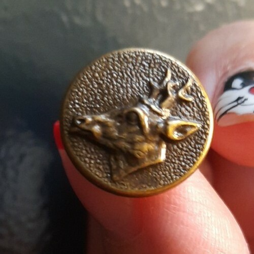 I15504 deer head d17mm - deer,
