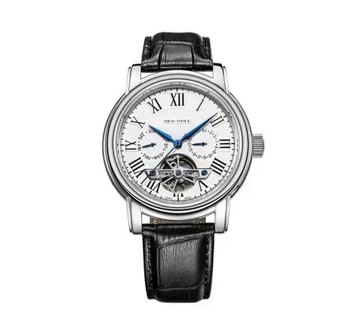 Montre luxe pour - luxe,