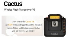 Cactus Wireless Flash