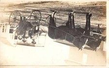 Family Riding in Horse