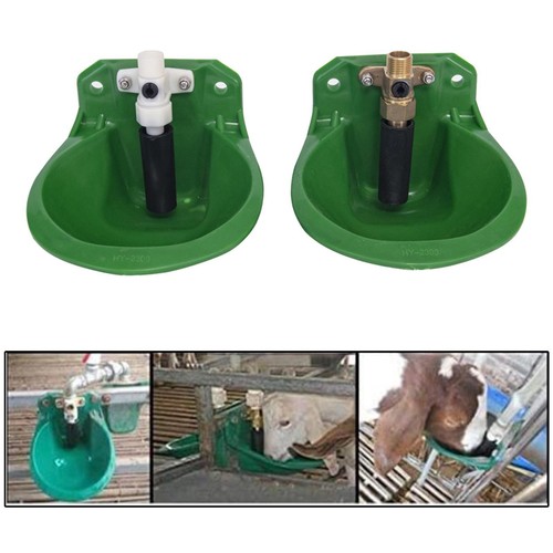 Bol eau mouton - d'eau,