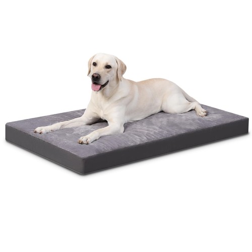Panier coussin chien - coussin,