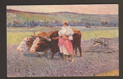Attelage agricole bovin - attelage,