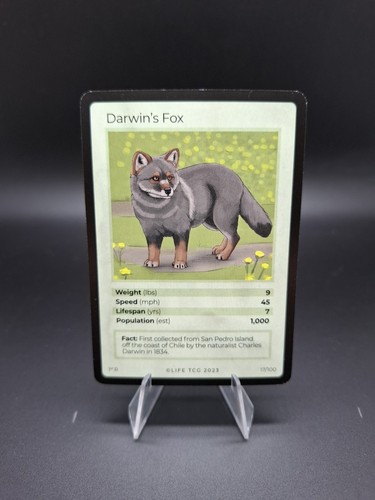 Darwin fox life tcg 2023 - darwin’s,