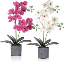 Lot de 2 fleurs d'orchidées