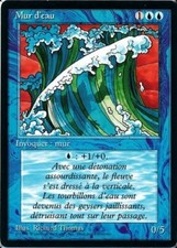 MRMS FR/VF Mur d'eau - Wall of Water EX MTG Magic FBB