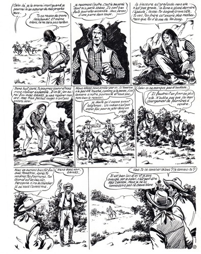 Andre gosselin belle - andre, planche