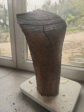 Bois d'olivier Provence N°X19