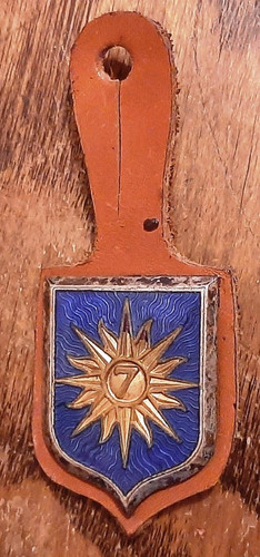 Insigne sur cuir rc - insigne, 7°
