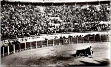 ALGERIE ORAN  - carte postale