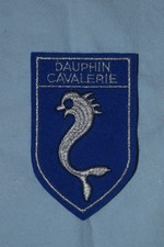 A449 patch insigne écusson militaire militaria Armée Dauphin Cavalerie