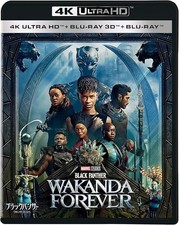Panthère Noire : Wakanda