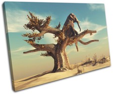 Elephant Tree Desert
