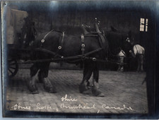 France, Paris, Concours