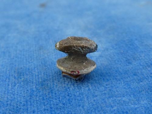 Rare jep canot - rare,