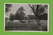 DAMMARTIN SUR MEUSE - Ecole professionnelle de Malroy   .....  (Ref. B7804)