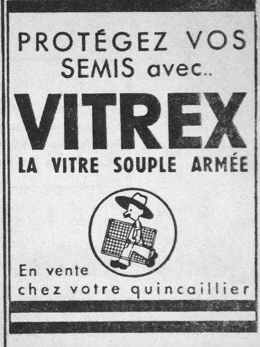 Publicité vitrex protégez - vitrex,
