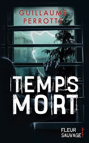 Temps mort guillaume - temps, mort,