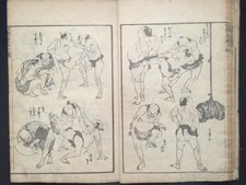 ORG HOKUSAI manga Vol.11